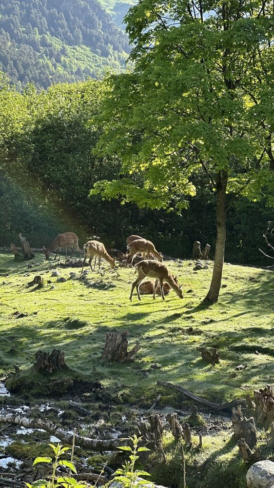 Photograph by Мария Алейникова