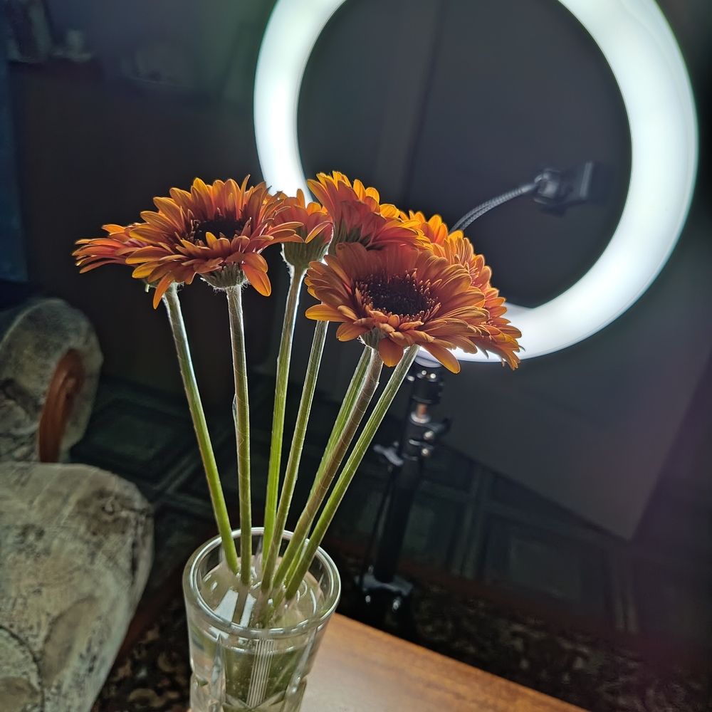 Photograph by Елизавета Загудаева