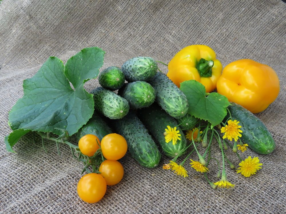 Autumn harvest on linen fabric