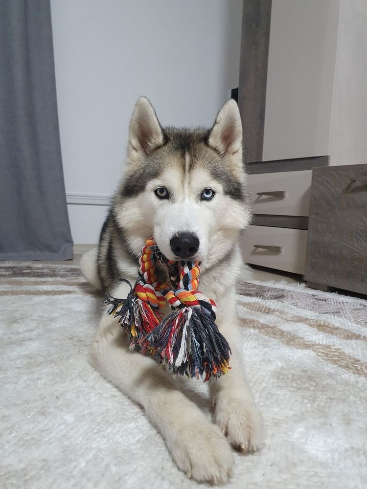 Фотография автора Юлия Таран