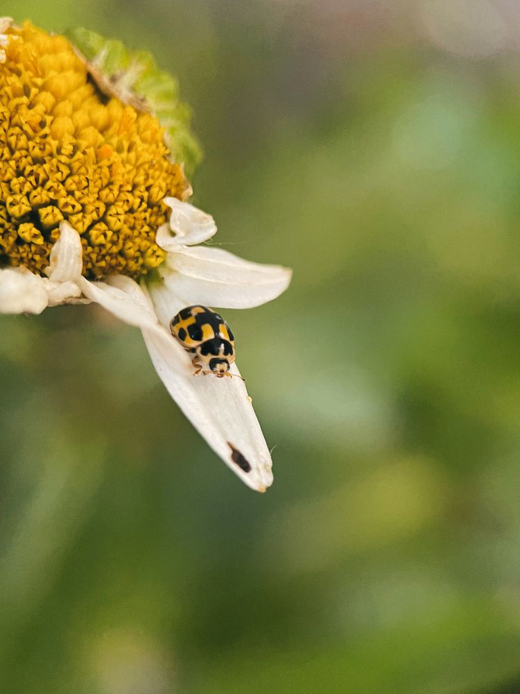 Photograph by Viktor