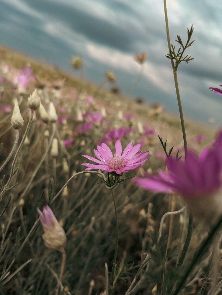 Photograph by Viktor