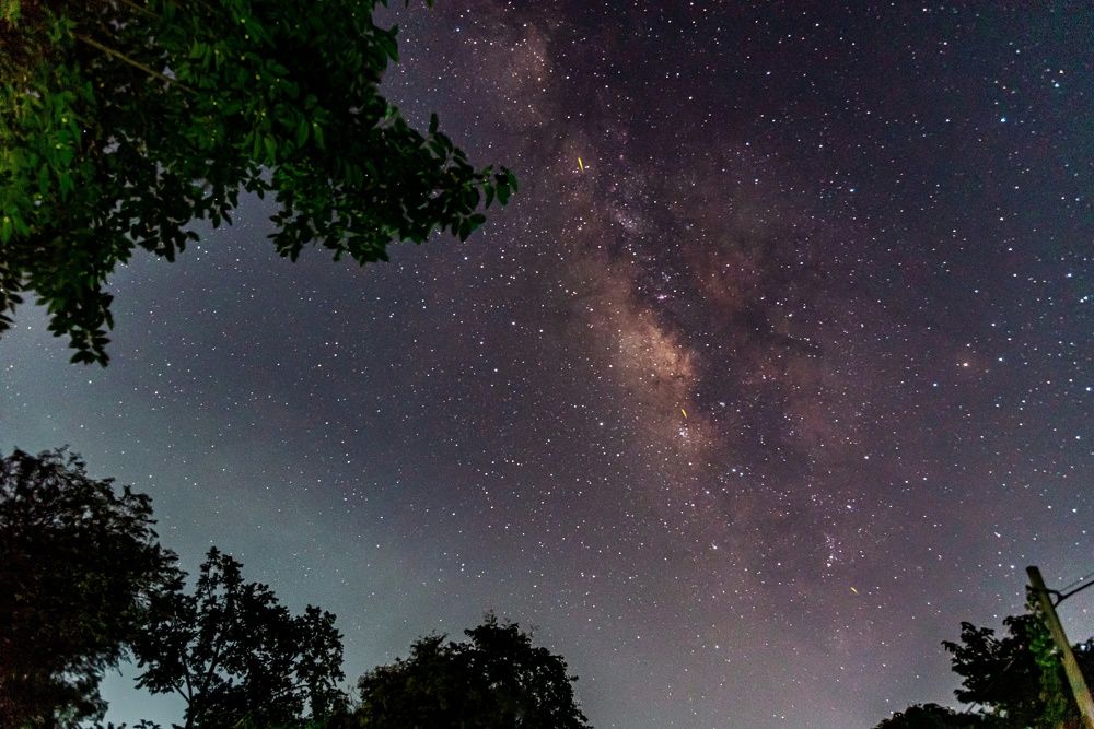 Фотография автора Shuvadeep Paul