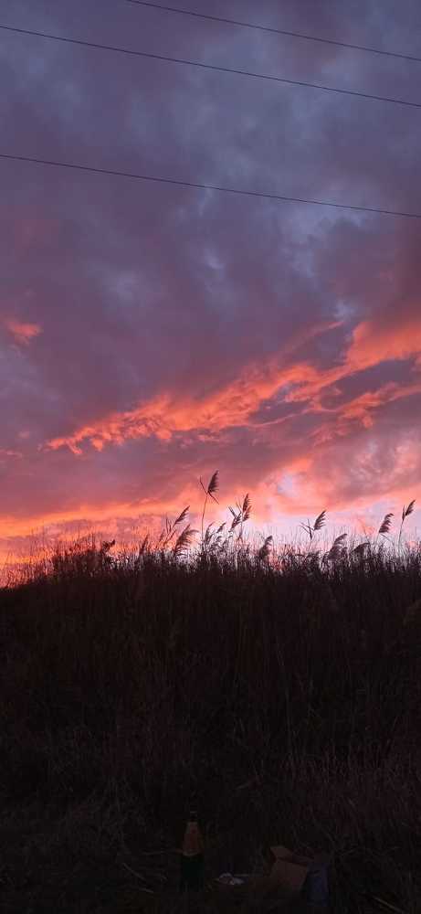 Photograph by Стелла Кухтина
