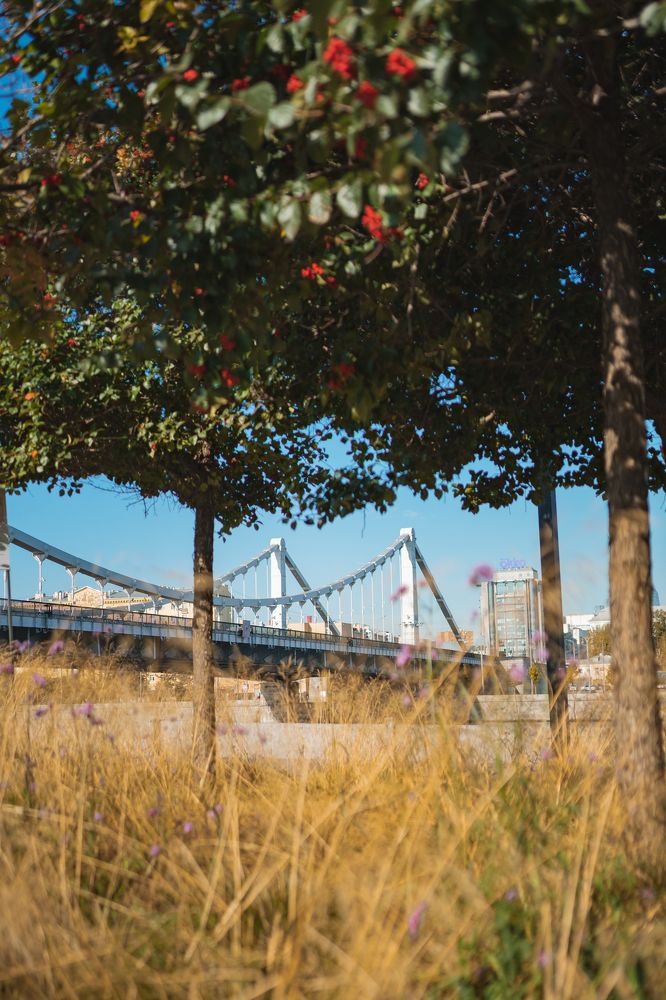 Photograph by Alexey Sapozhnikov