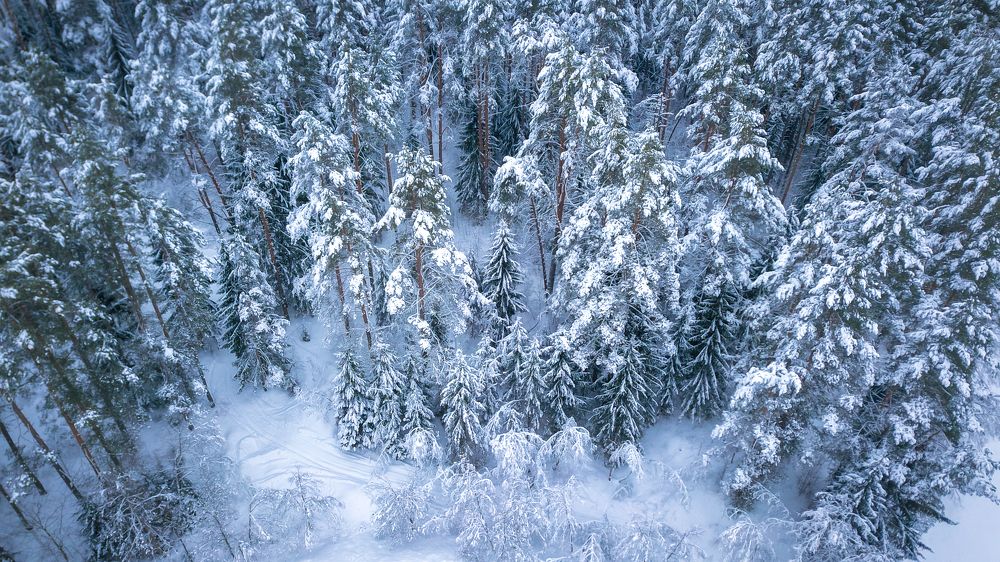 Photograph by Сергей Фаренюк