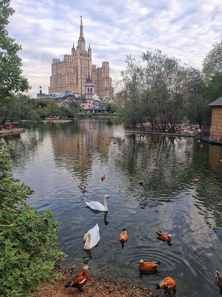 Фотография автора Юлия Таран