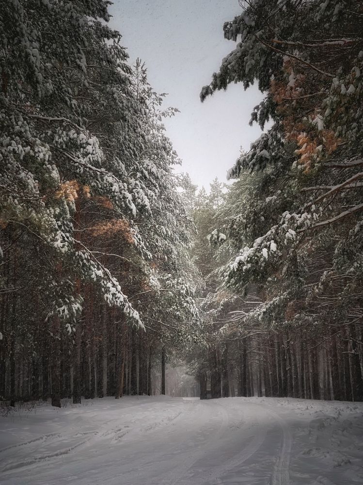 Photograph by Кира Бахвалова