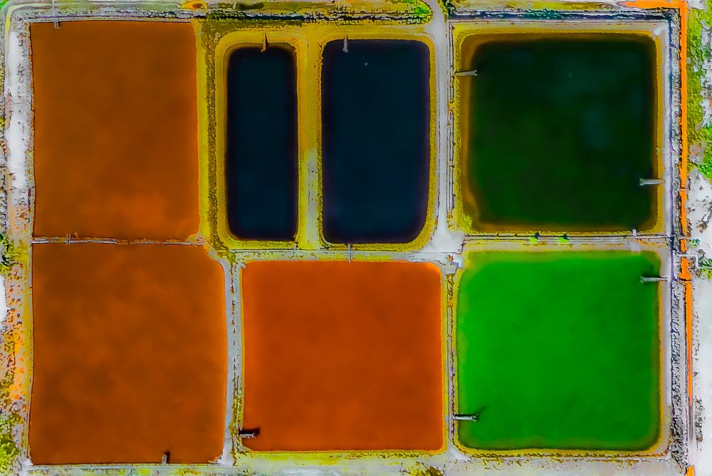 Photograph by Eric Gosse