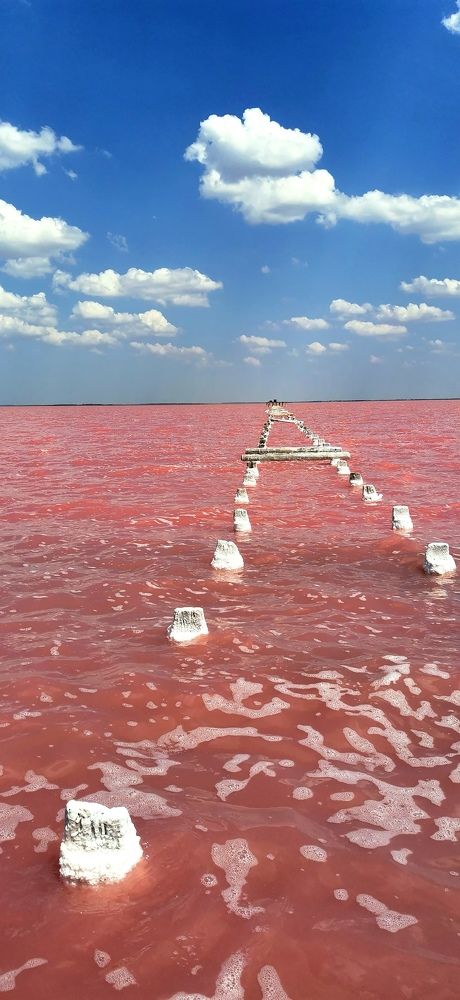 Photograph by Анастасия Бреева