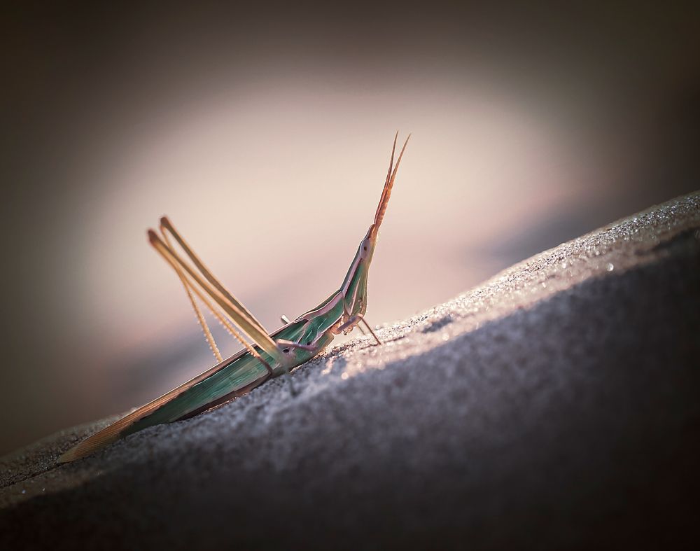 Photograph by Алена Полетаева