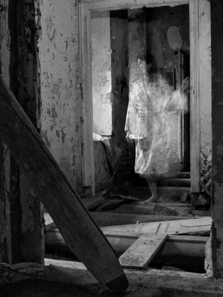 Фотография автора Алексей Поляков