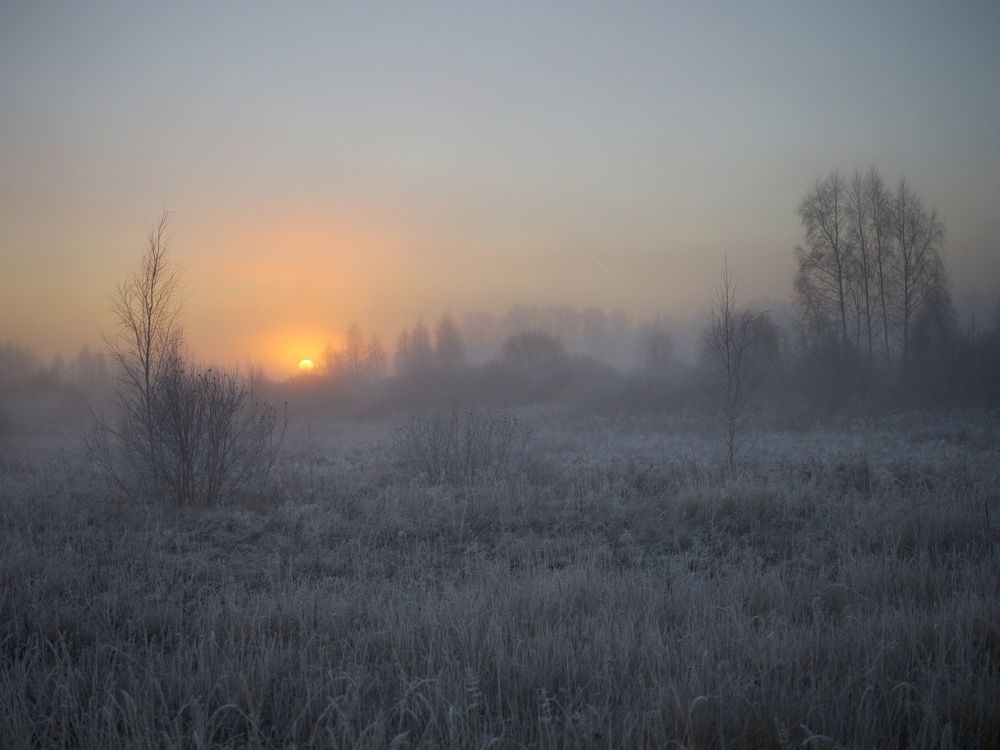 Photograph by 