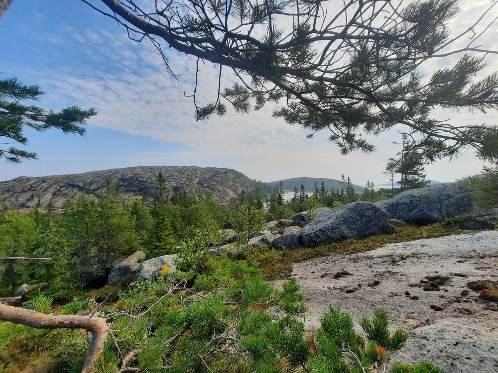 Photograph by Екатерина Мельникова