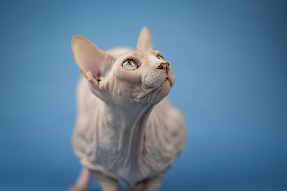 Фотография автора Ana Sánchez