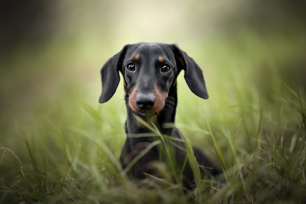 Фотография автора Ana Sánchez