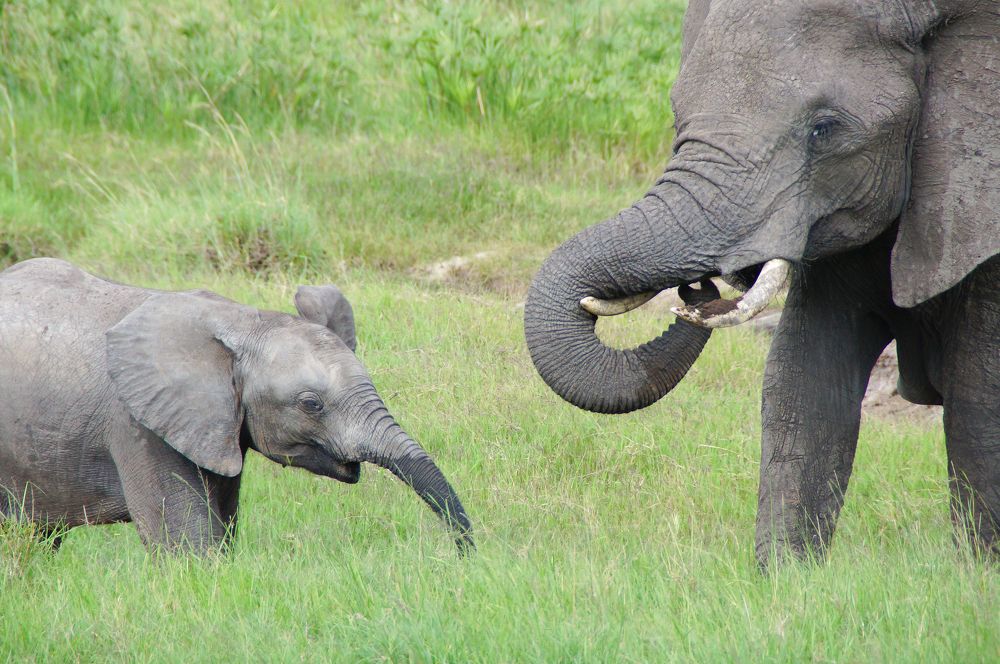 Photograph by Юрий Сычев