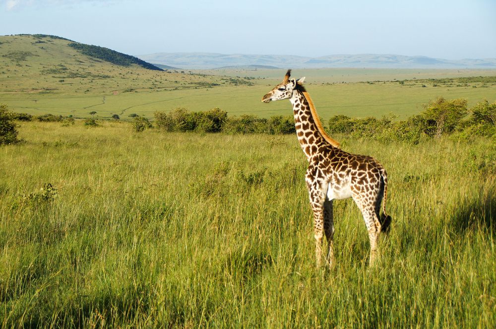 Photograph by Юрий Сычев