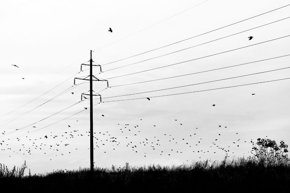 Photograph by Александр Малахов