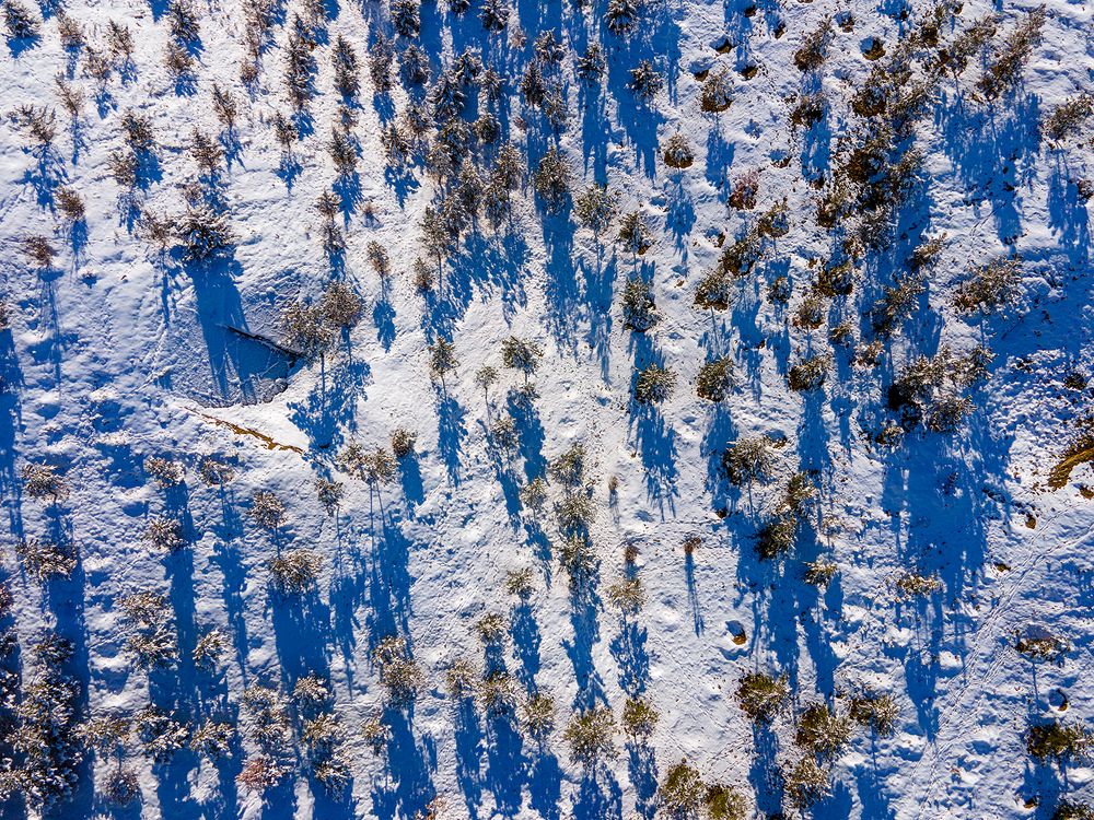 Photograph by Pourarab Mohammad Mahdi