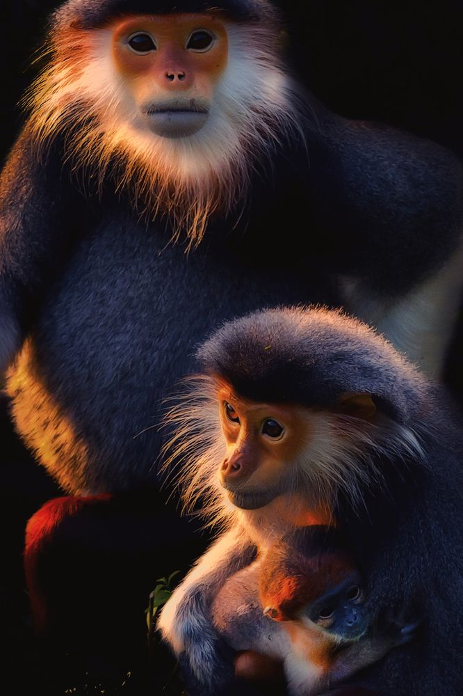 Photograph by Hà Thạnh