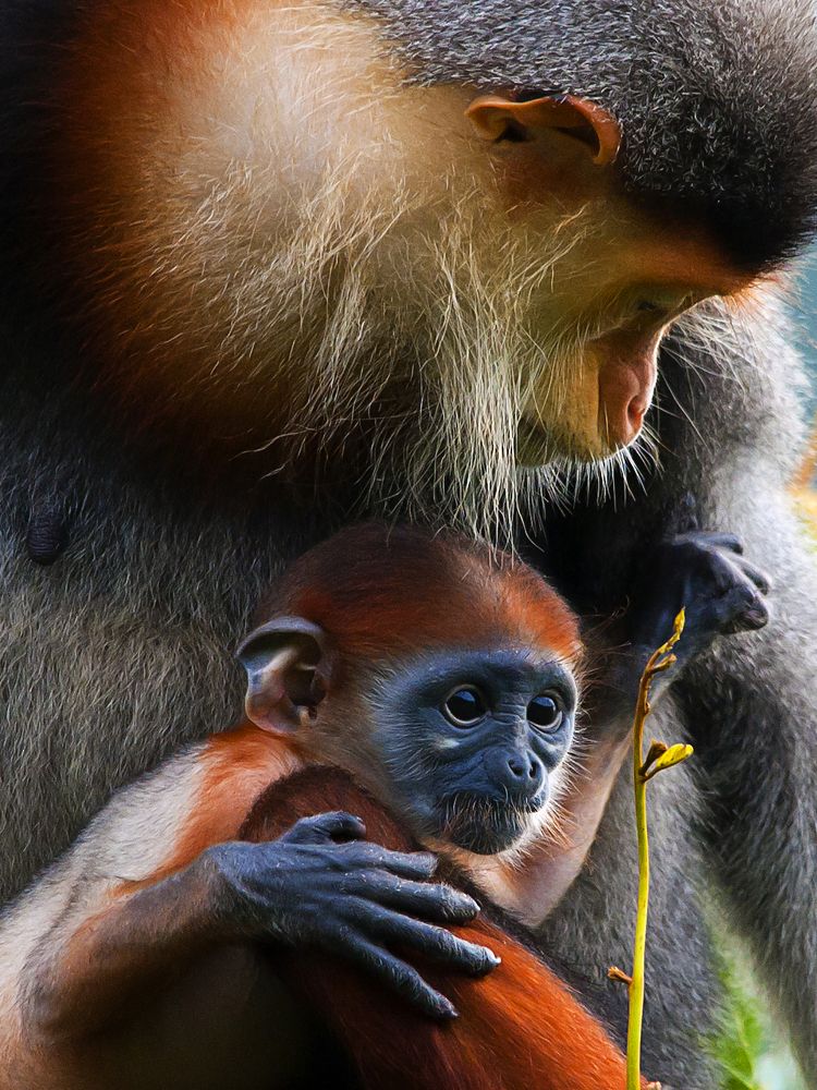 Photograph by Hà Thạnh