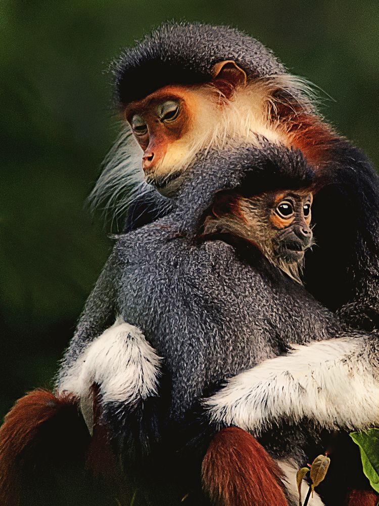 Photograph by Hà Thạnh