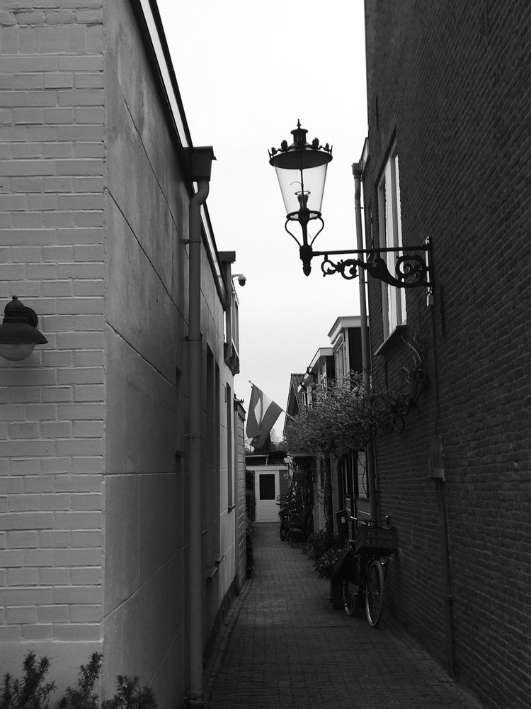 Photo #9885649