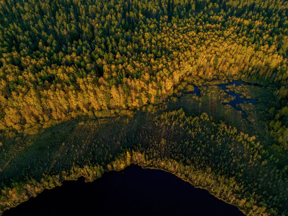 Фотография автора Сергей Старых