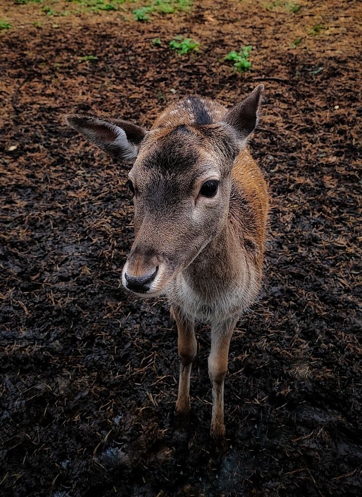 Photograph by Евгений Белов