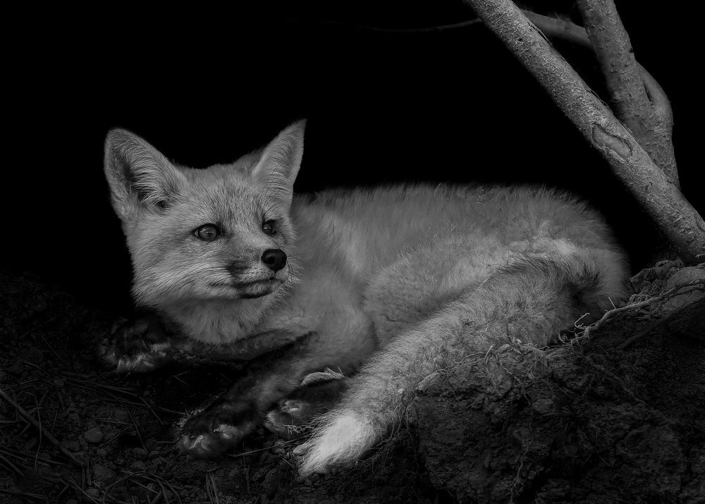 Photograph by Marie Jalbert