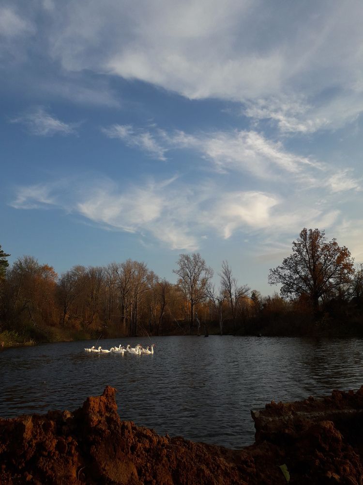 Photograph by Диана Кучумова