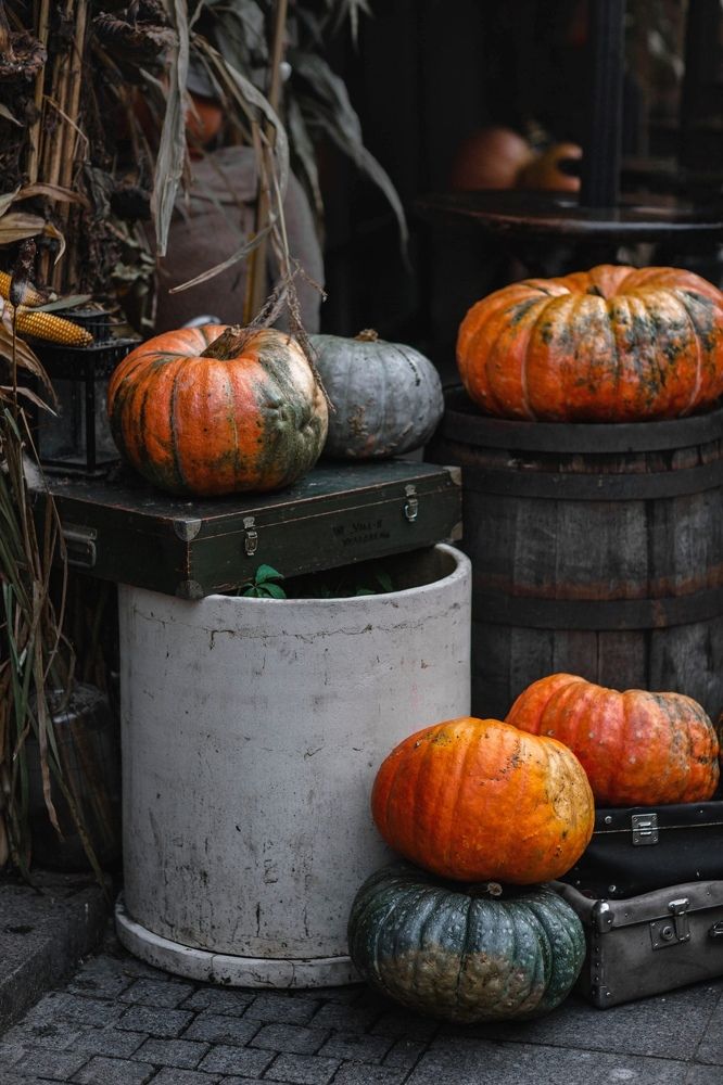 Photograph by Серова Мария