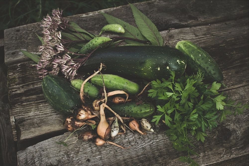 Photograph by Серова Мария