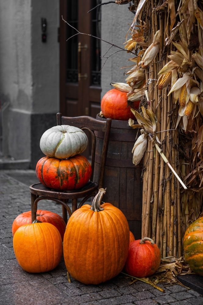 Photograph by Серова Мария