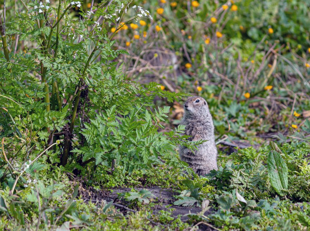Photograph by Сергей Христинич