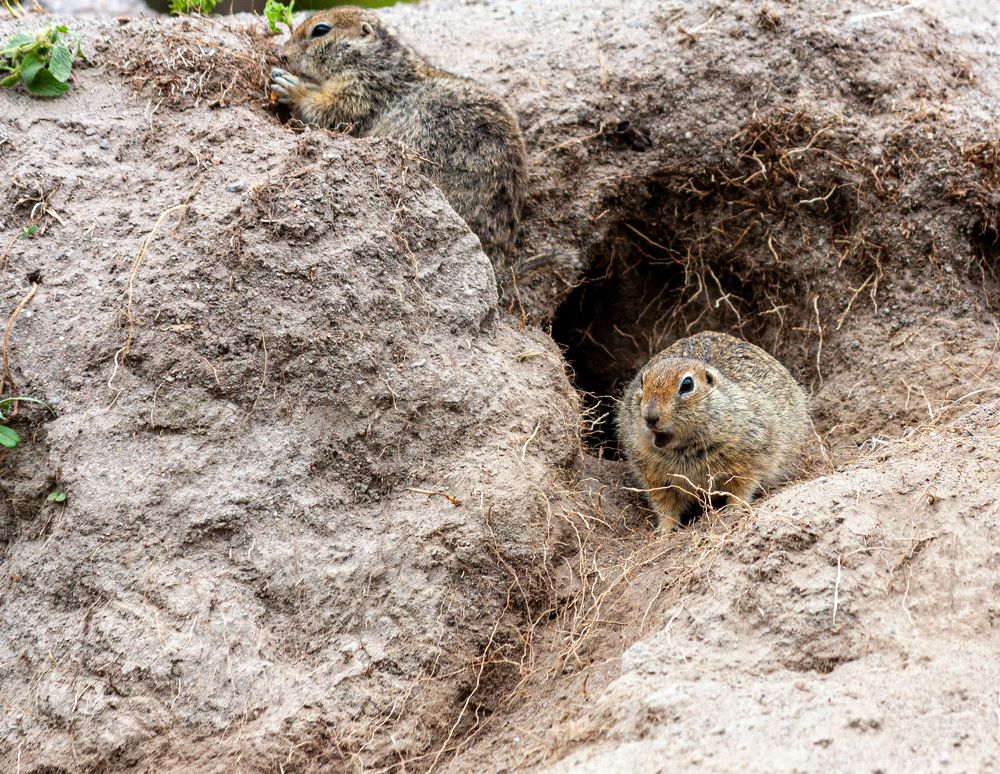 Photograph by Сергей Христинич