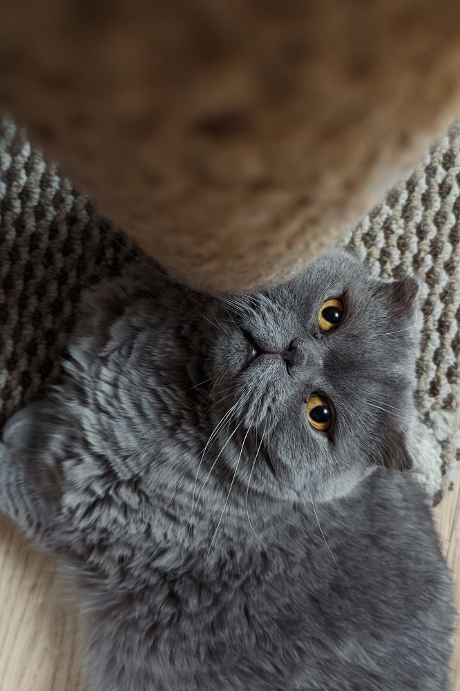 Photograph by Alexander Lonsdale