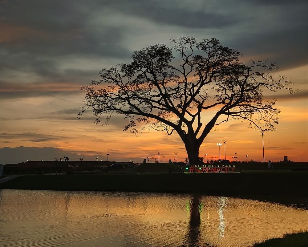 Photograph by Shahrul_Laili