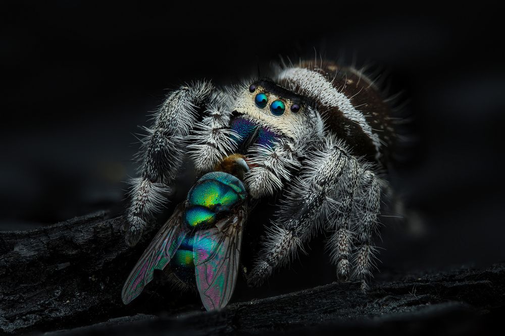 Photograph by Tran The Ngoc