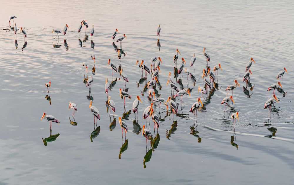 Photograph by G N RAJA