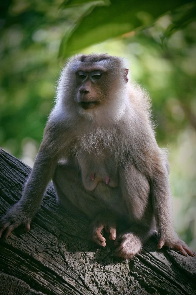 Фотография автора Ola La