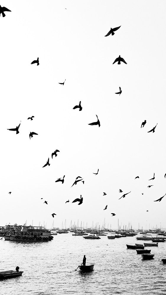 Photograph by Naeem gopalani