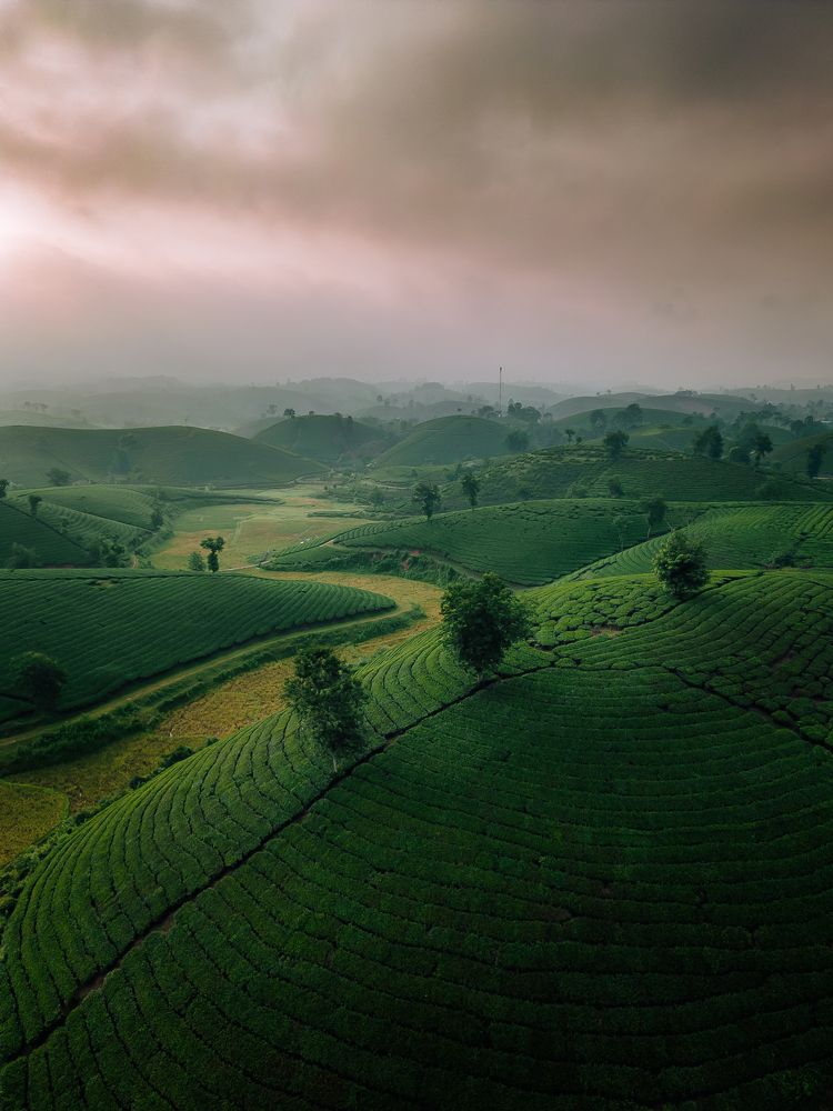 Photograph by Анастасия Сауль