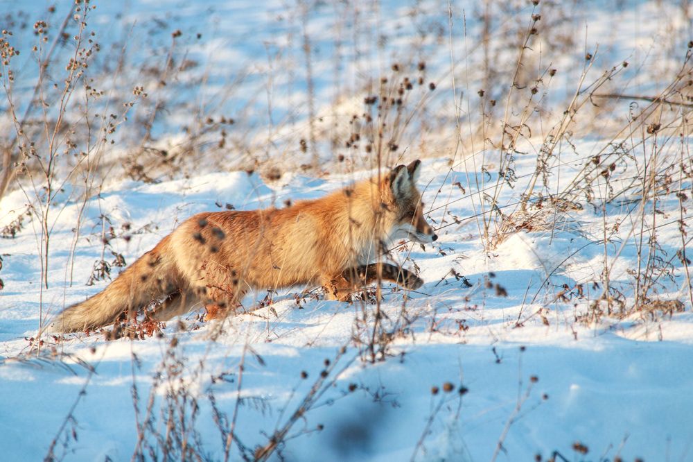 Photograph by Наталья Трифуз