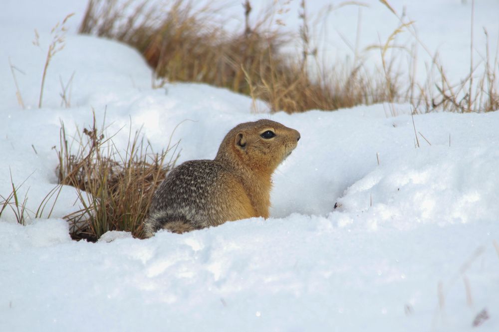 Photograph by Наталья Трифуз
