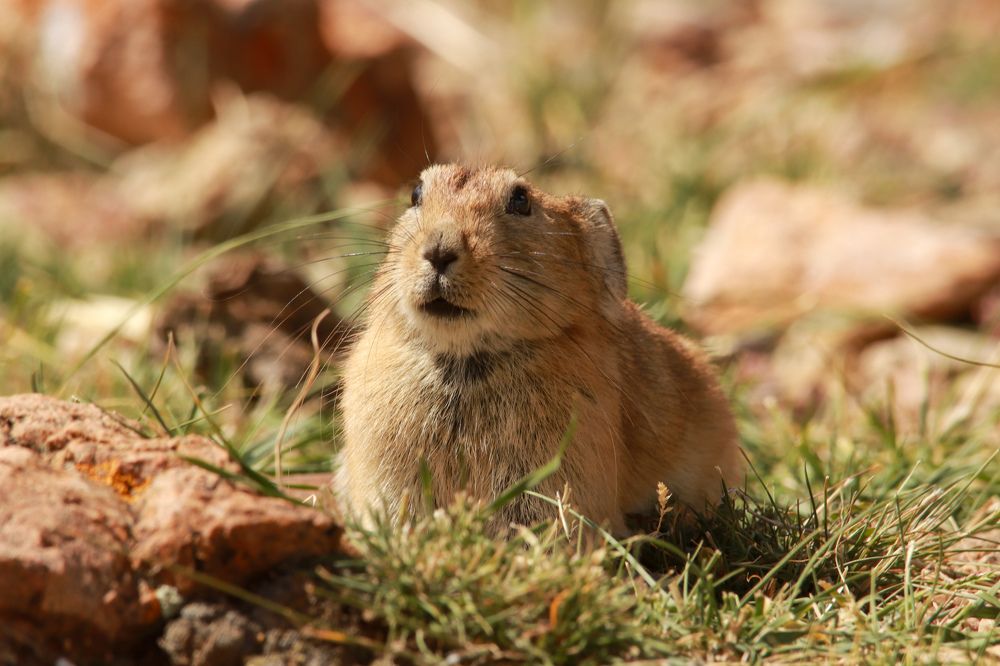 Photograph by Наталья Трифуз