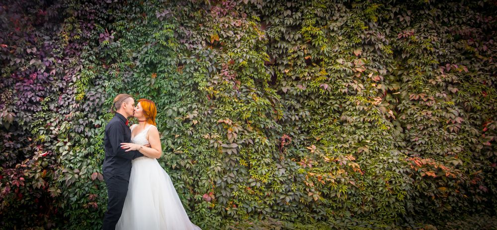 Photograph by Сергей Хранитель