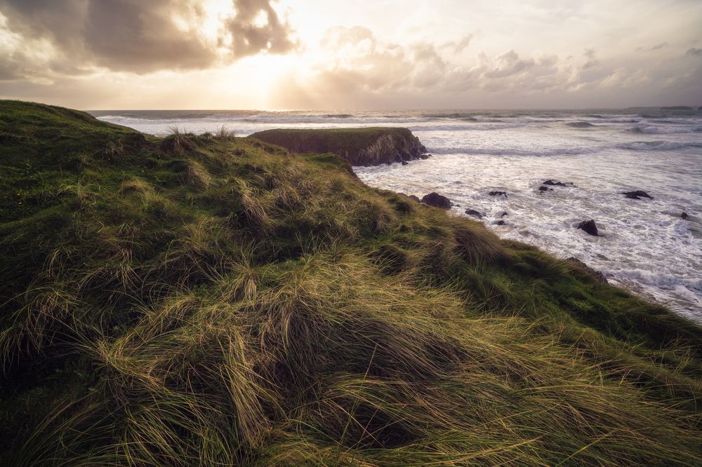 Photograph by Andy Fowlie