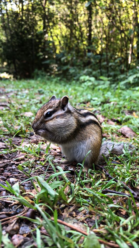 Фотография автора Светлана